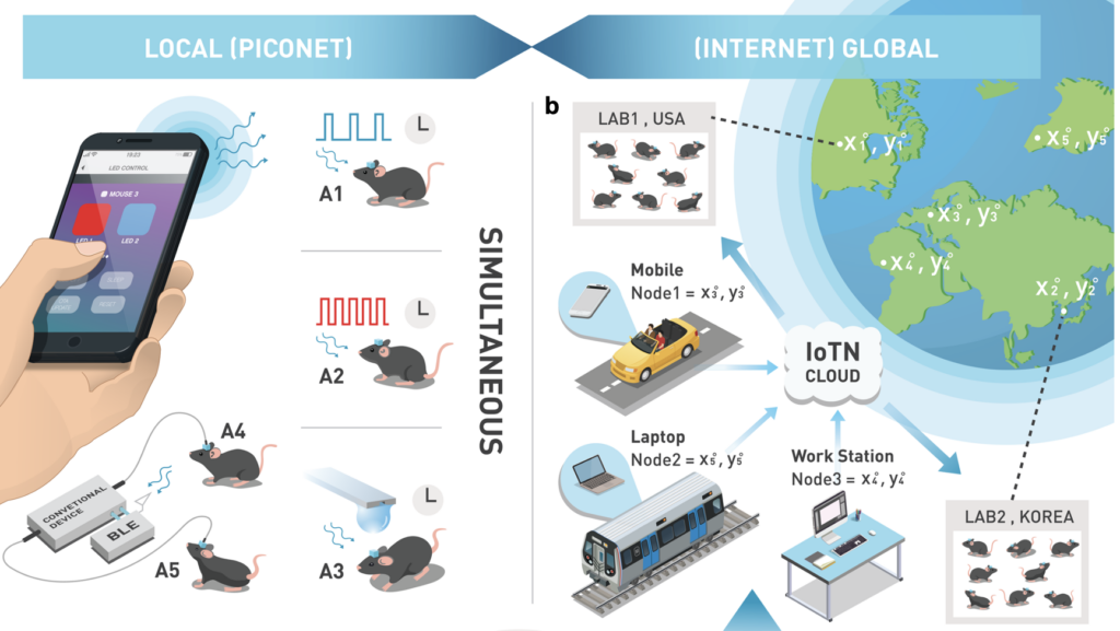 Scientists Develop Wireless-Networks that Allow Brain Circuits to Be Studied Remotely using the Internet