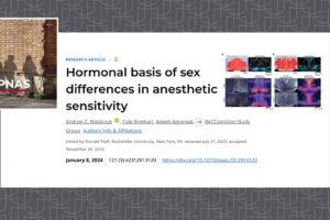 Understanding the sex-based differences in anesthetic sensitivity