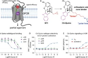 New research reveals safer pain relief without opioid side effects