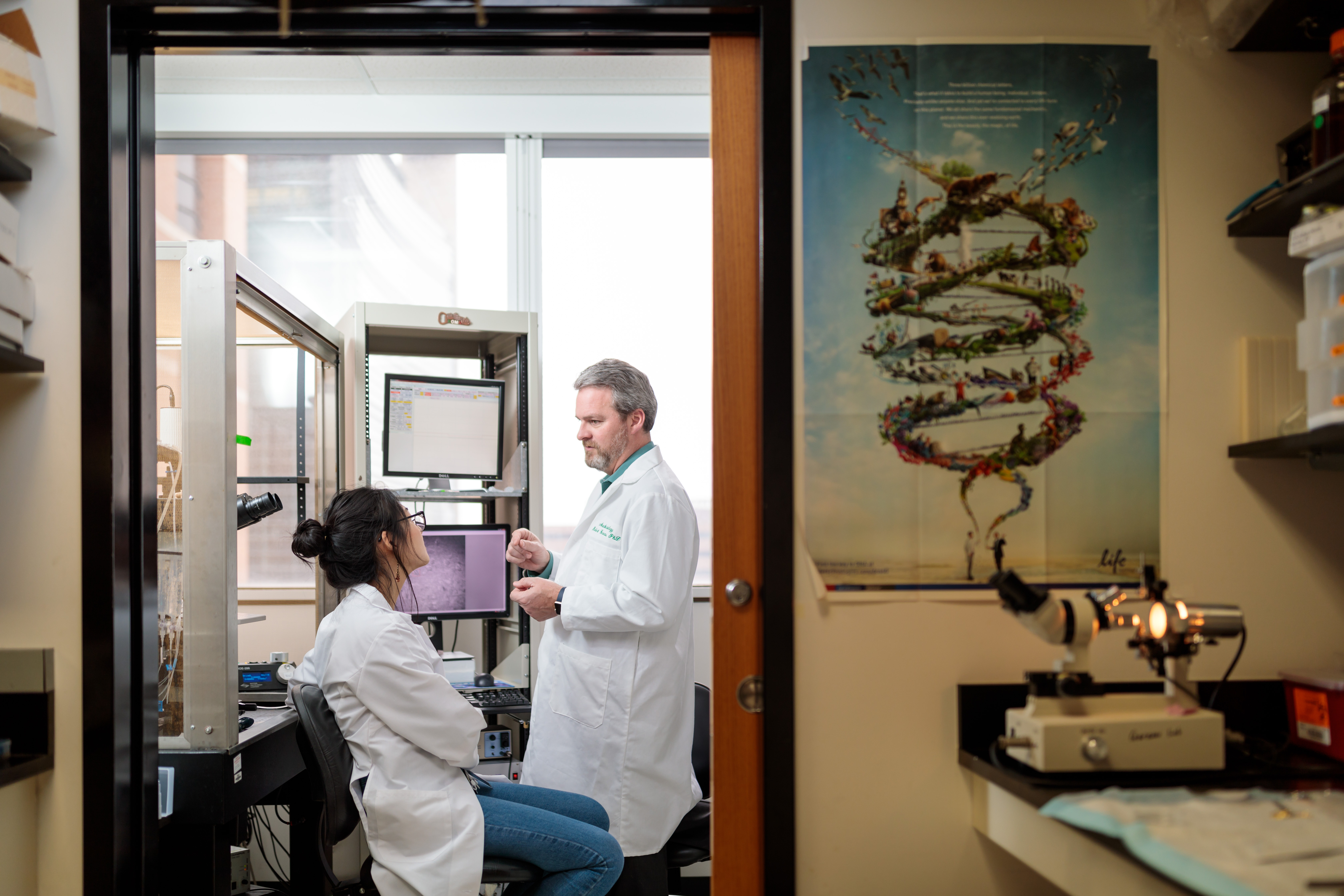 Bridging the gap: How philanthropy accelerated the search for safer pain relief