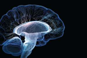 McCall, Al-Hasani, and Moron-Concepcion to study how fentanyl disrupts the brain’s locus coeruleus system