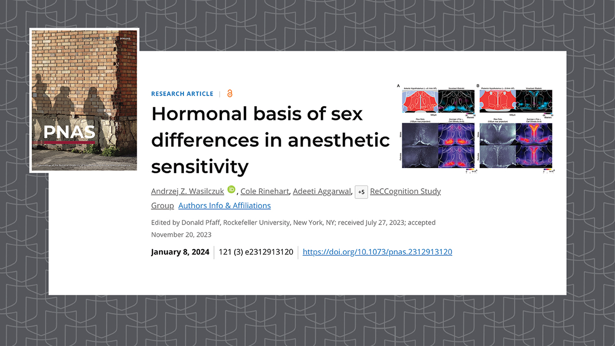 Understanding the sex-based differences in anesthetic sensitivity |  Anesthesiology | Washington University School of Medicine in St. Louis