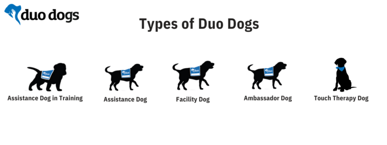 Types of Duo Dogs